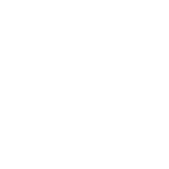 Burlington Bicycle